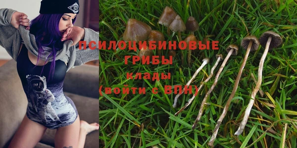не бодяженный Каменногорск