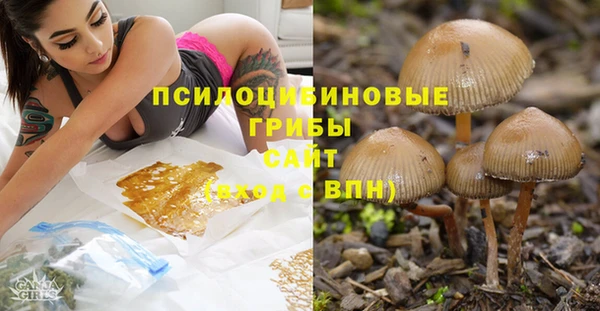 не бодяженный Каменногорск