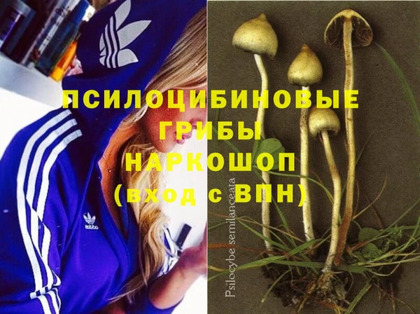 не бодяженный Каменногорск