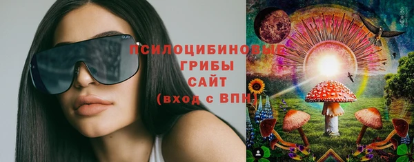 ешки Каменка