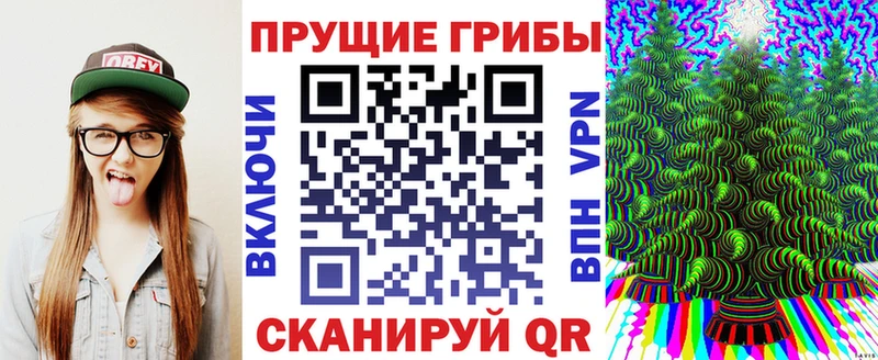 Купить  Щёлково  Псилоцибиновые грибы Psilocybe 